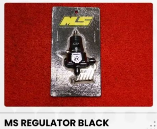 MS FUEL PRESS REGULATOR