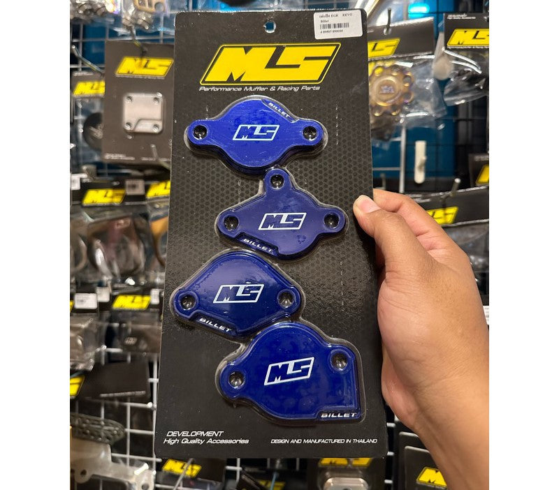 MS EGR DELETE REVO