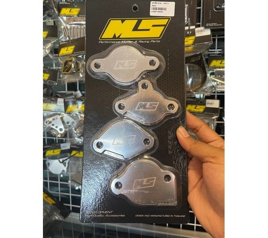 MS EGR DELETE REVO